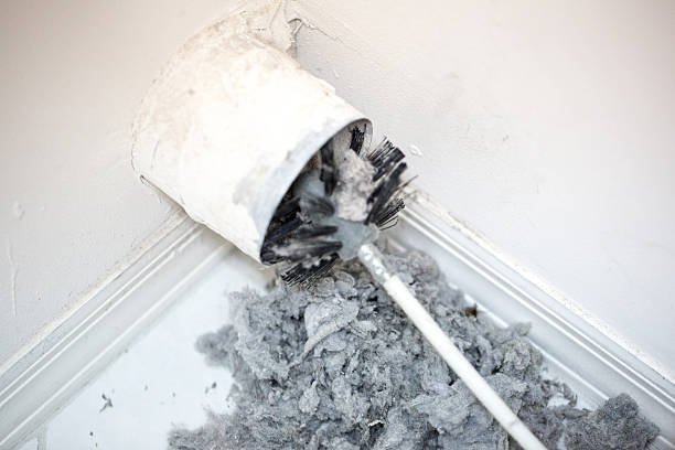 Best Local Air Duct Cleaning Services  in Lakewood, CA
